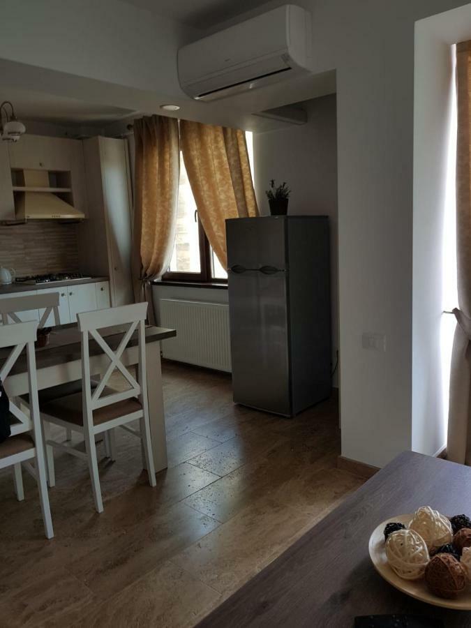 Apartament 2 Camere Ultracentral Râmnicu Vâlcea エクステリア 写真