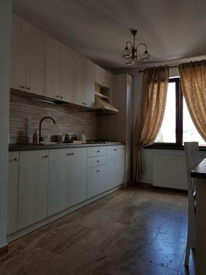 Apartament 2 Camere Ultracentral Râmnicu Vâlcea エクステリア 写真